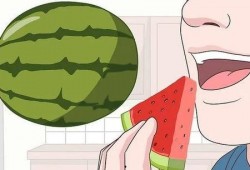 真实的吃瓜故事,一场真实的吃瓜盛宴背后的故事