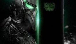 黑鲨吃瓜,揭秘海洋霸主吃瓜瞬间