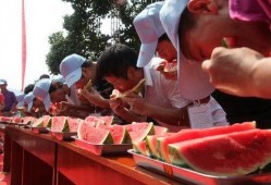 吃瓜活动条幅,一场别开生面的吃瓜活动条幅大揭秘