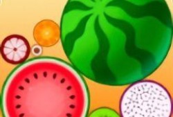 表示吃瓜的成语