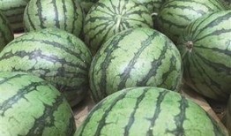 地瓜吃瓜网站dgjp,揭秘网络红人的秘密花园