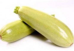 孕早期可吃白瓜,白瓜助力母婴健康