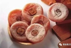 小楠瓜吃柿饼视频