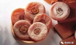 小楠瓜吃柿饼视频