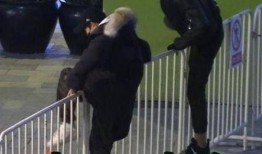 翻越护栏自己吃瓜,翻越护栏的意外收获