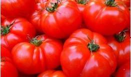 小鬼吃瓜番茄,揭秘娱乐圈的甜蜜与苦涩