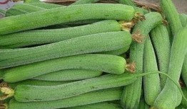 做题不会吃瓜,专注学习，拒绝吃瓜诱惑