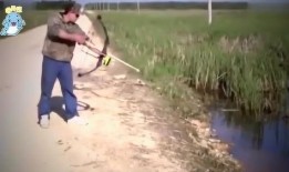 钓鱼群吃瓜群众