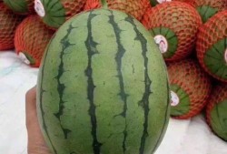 吃瓜聊天素材,揭秘娱乐圈那些不为人知的幕后故事